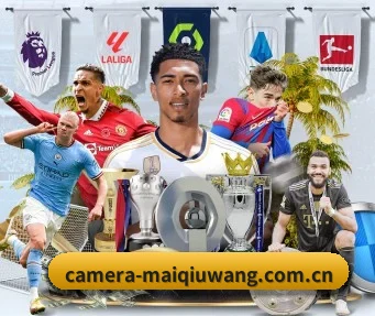 买球网 APP(maiqiuwang)